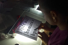 WhatsApp-Image-2026-01-22-at-08.41.49