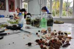 WhatsApp-Image-2026-01-22-at-08.44.57