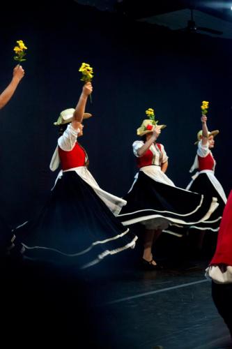 Mostra Didática de Dança