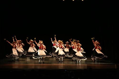 16ª Blumenau em Dança